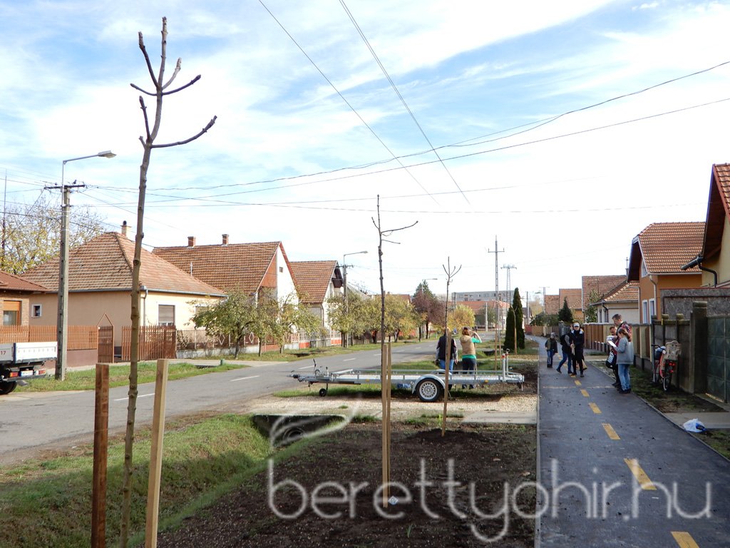 Közösségi faültetés Berettyóújfaluban 78